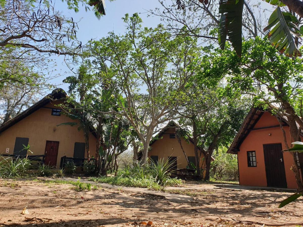 Pumusa Bushcamp Глуглуве Екстер'єр фото