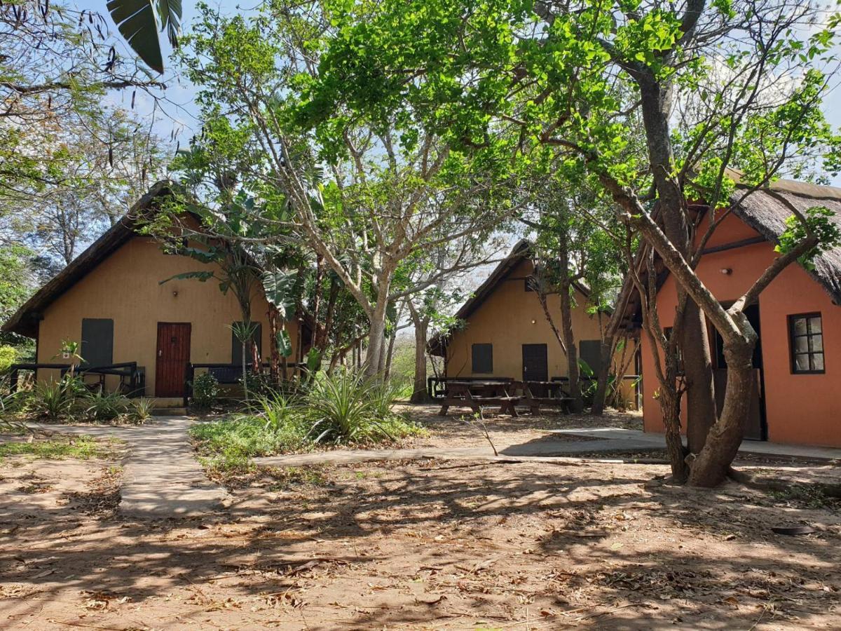 Pumusa Bushcamp Глуглуве Екстер'єр фото